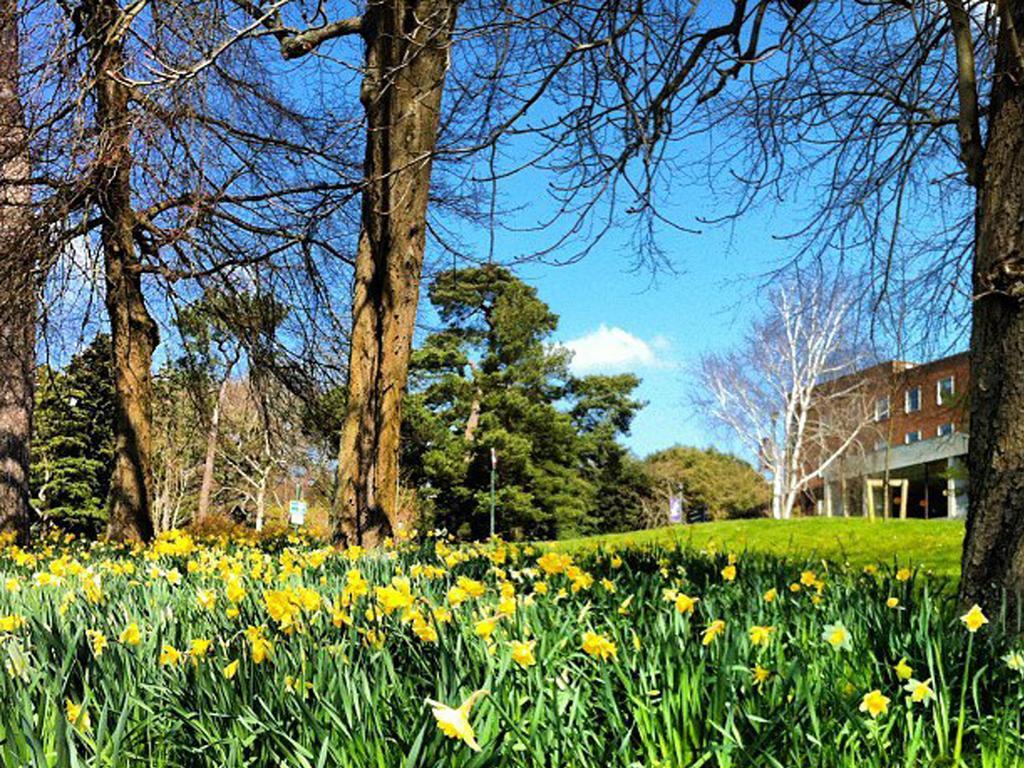 University Of Exeter - Pennsylvania Court Eksteriør billede