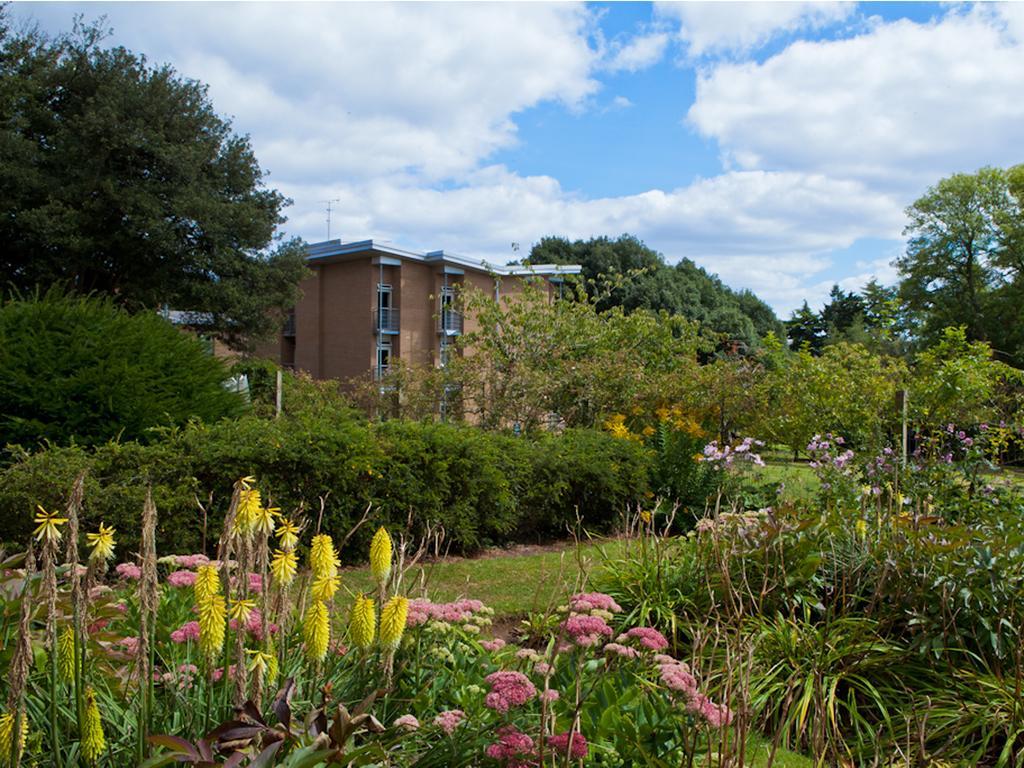 University Of Exeter - Pennsylvania Court Eksteriør billede